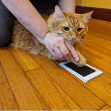 Lade das Bild in den Galerie-Viewer, PrintX - Zarte Abdrücke für immer