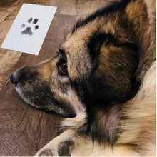 Lade das Bild in den Galerie-Viewer, PrintX - Zarte Abdrücke für immer